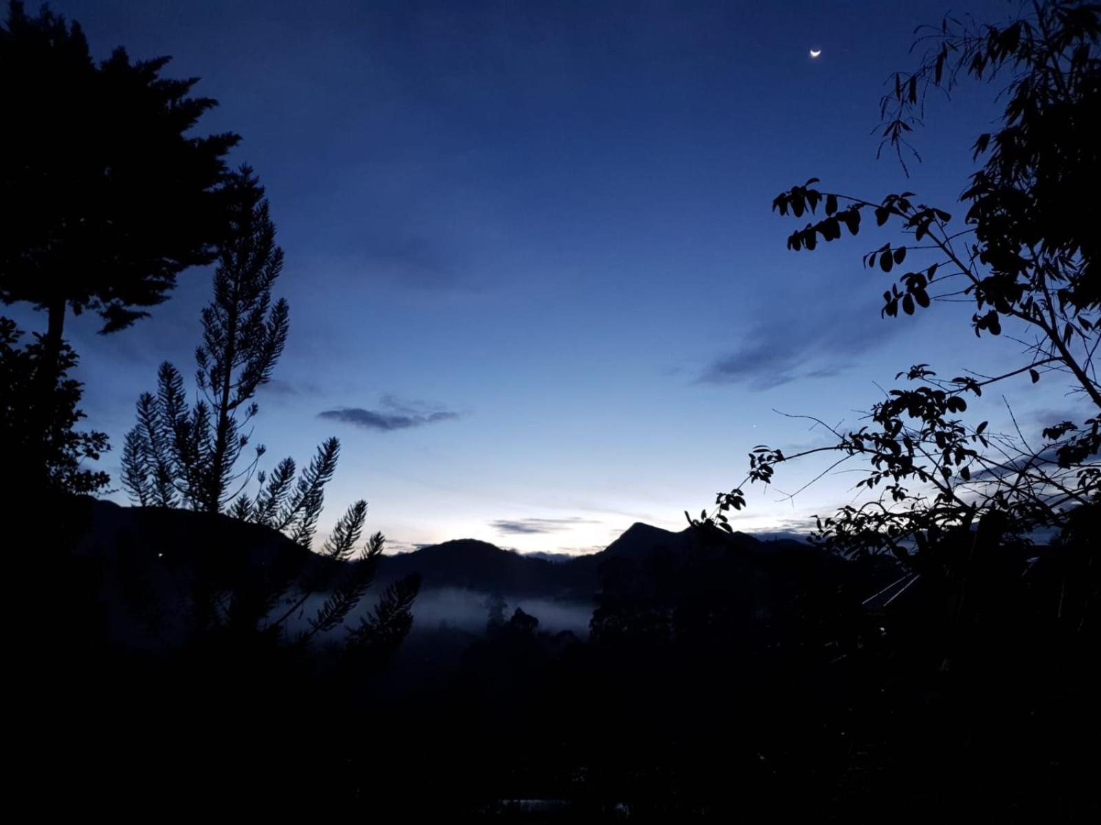 Princess Of Dickoya Homestay Hatton Cameră foto